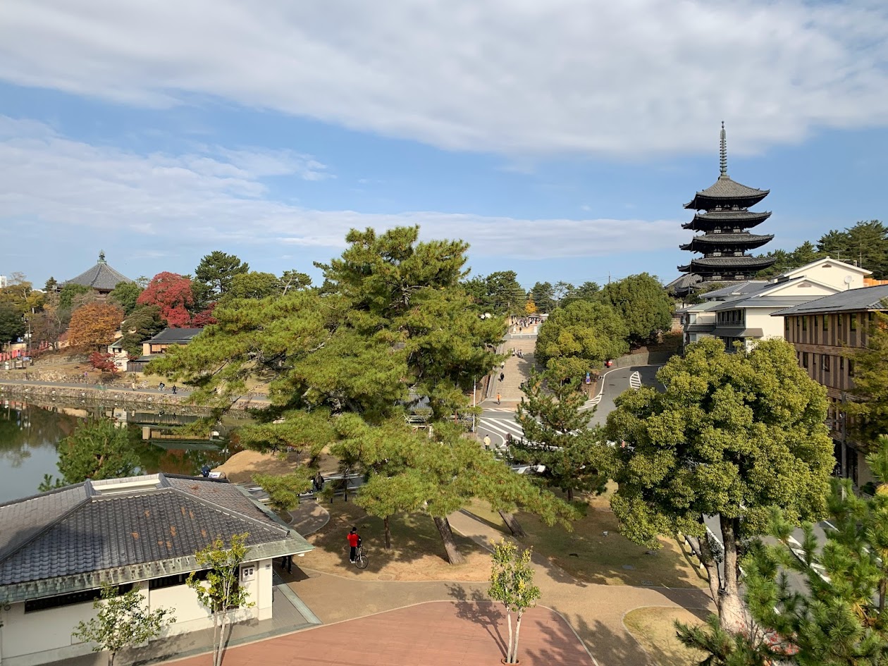 興福寺五重塔と猿沢池と階段の写真