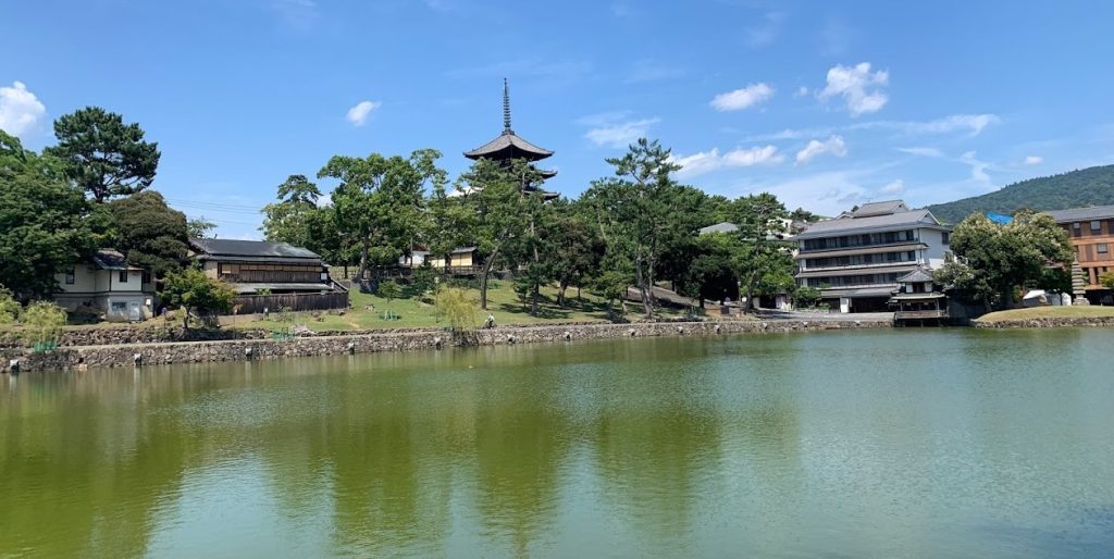 猿沢池から五重塔と緑の池の水を望んだ写真