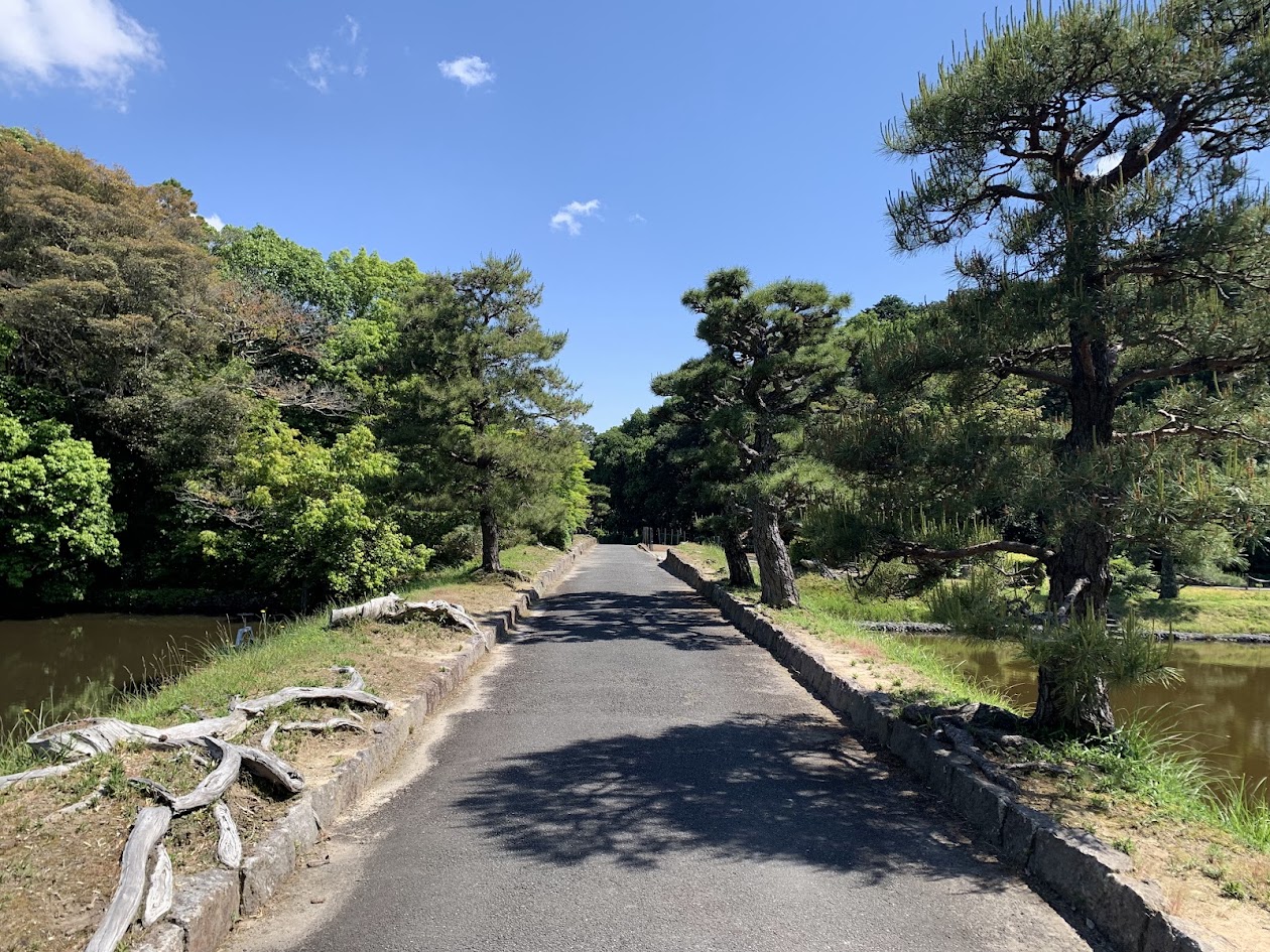 佐紀古墳群の古墳の間の道と根の写真