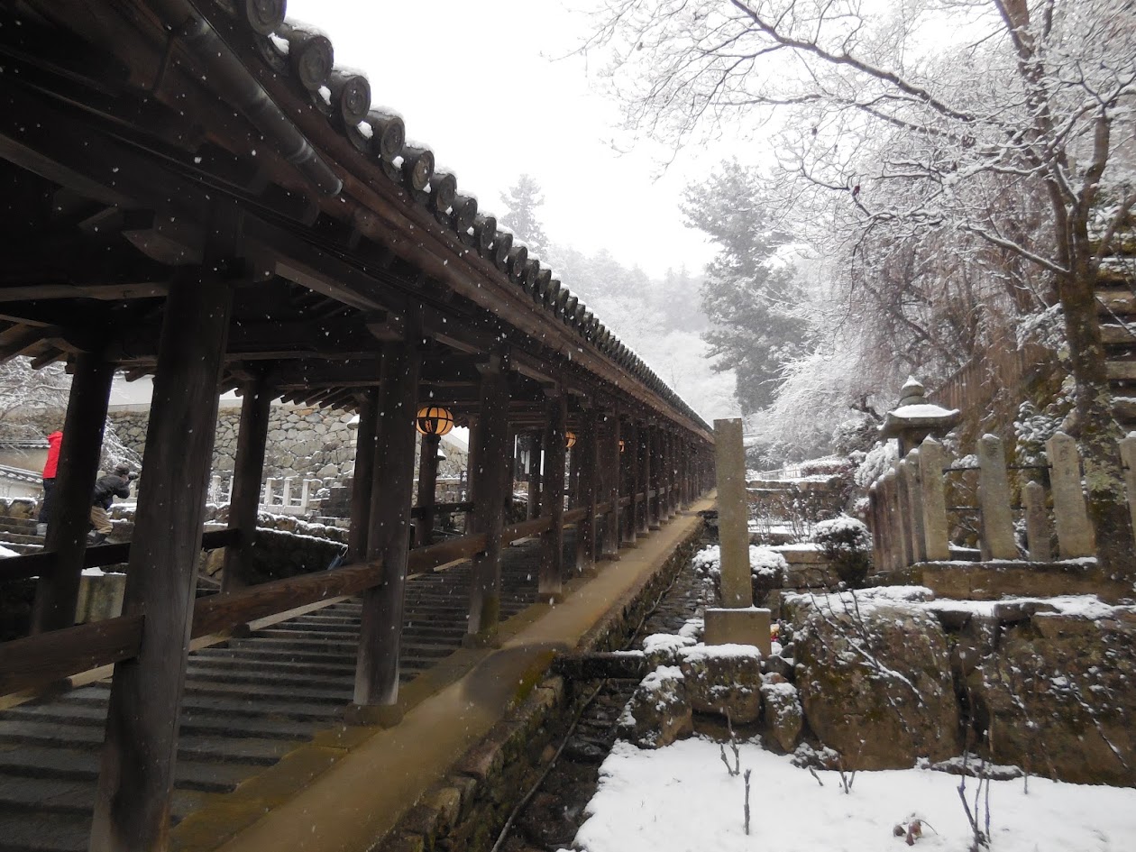 長谷寺の雪と登楼の写真