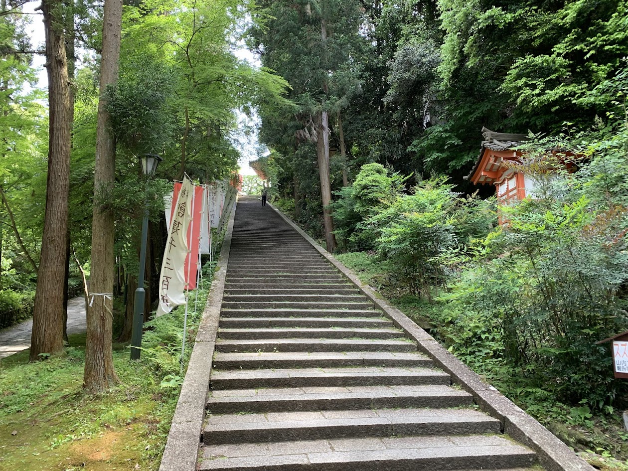 松尾寺の長い階段の写真