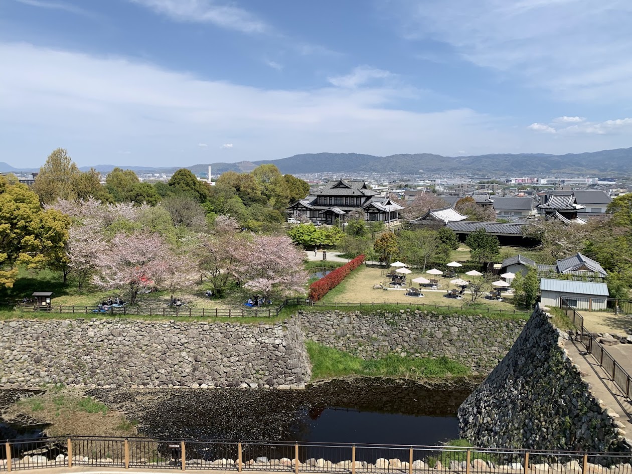 郡山城の本丸から東の山を見た桜満開の写真
