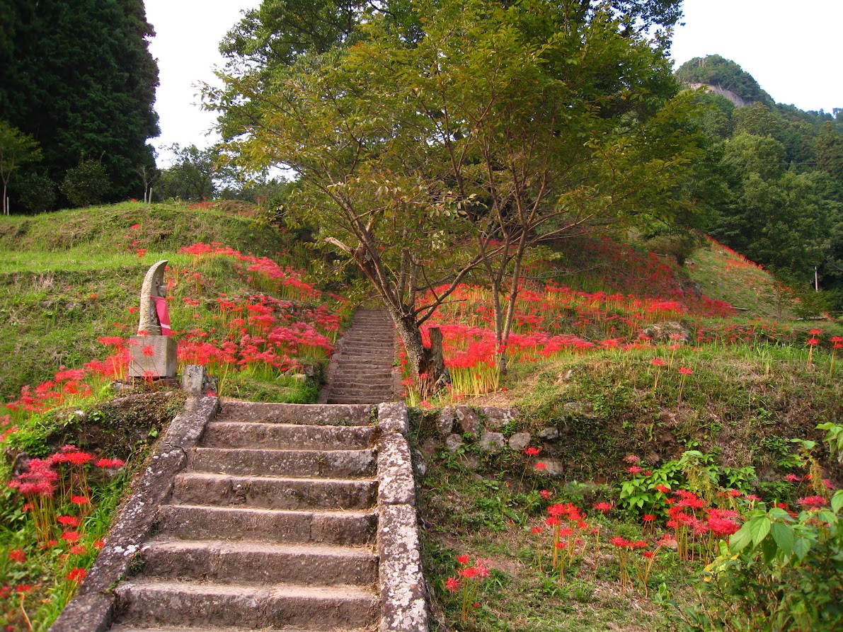 仏隆寺の彼岸花と階段の写真