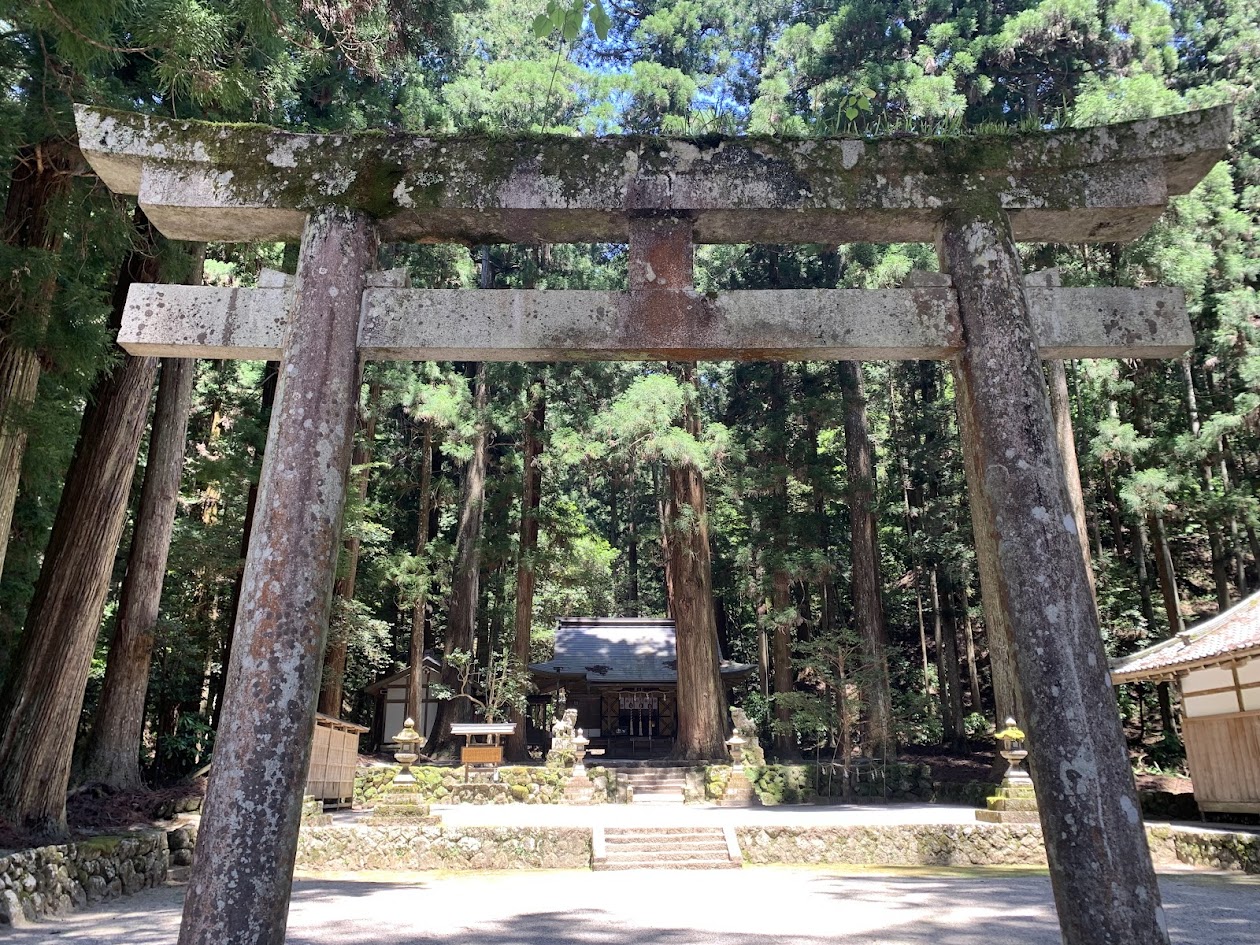 龍穴神社の鳥居と本殿と狛犬の写真