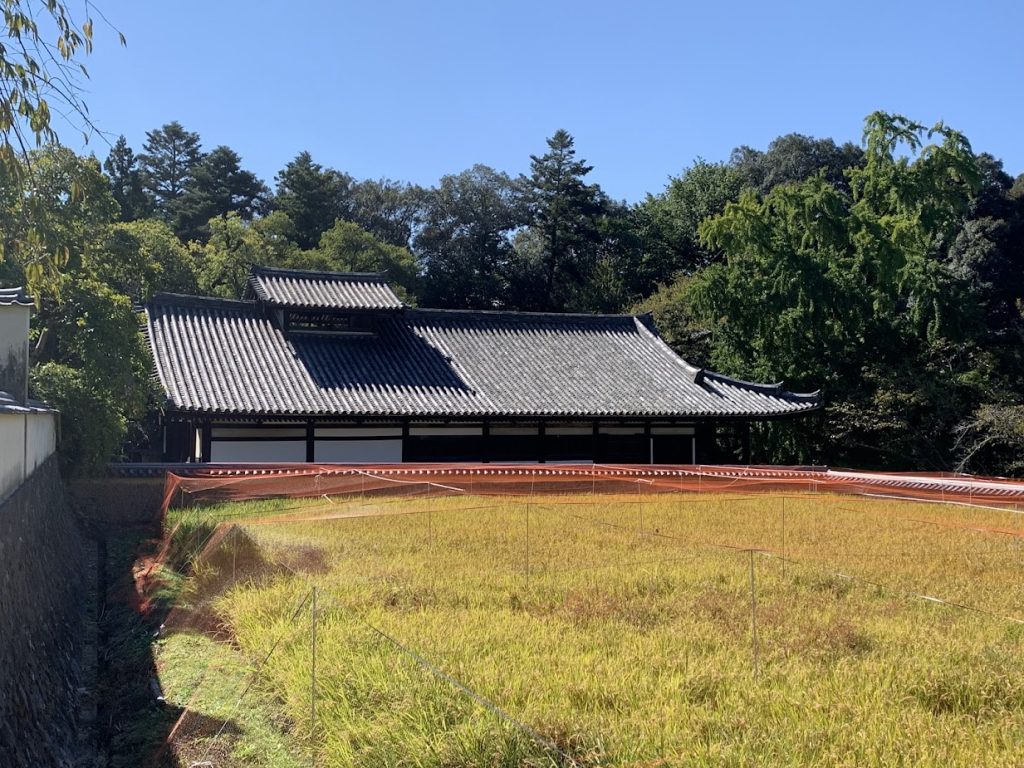 東大寺の大湯屋屋根と田んぼの写真