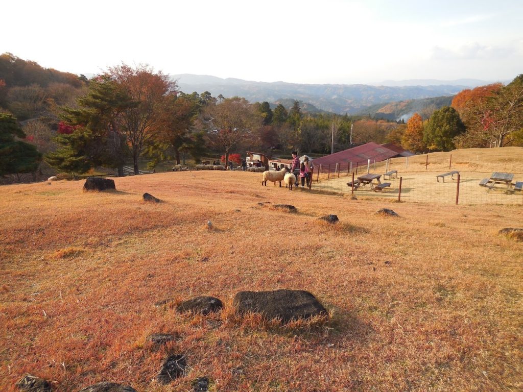 めえめえ牧場の秋の写真