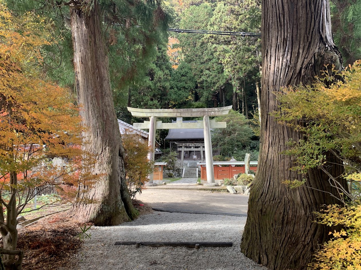 高天彦神社前の杉と鳥居と拝殿の写真 Photo of the cedar trees, torii gate, and worship hall in front of Takamahiko Shrine