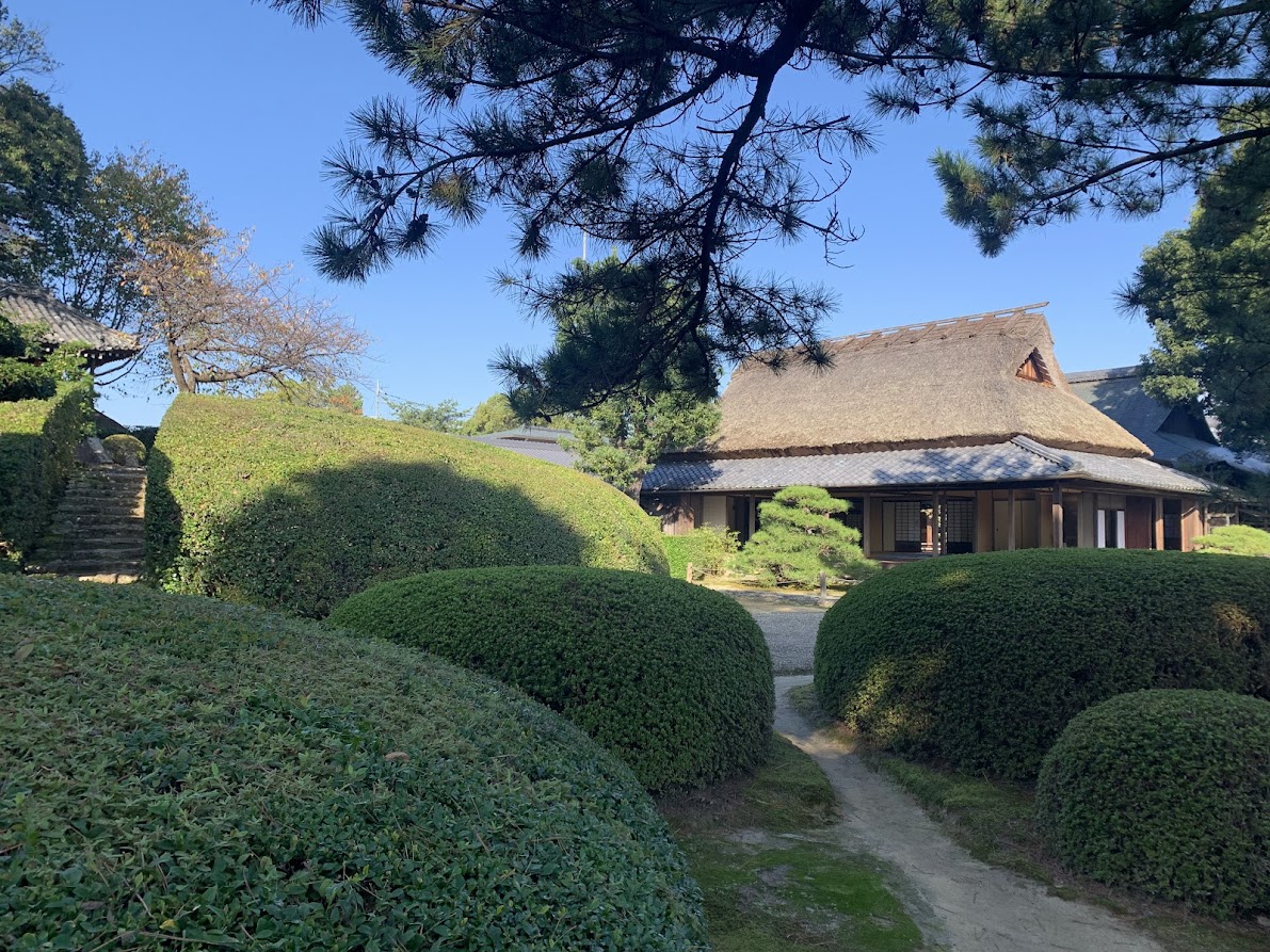 慈光院のさつきと主屋の写真