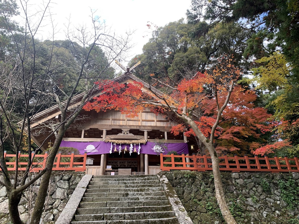 高鴨神社拝殿を階段下から見上げた写真 Photo of the worship hall viewed from the bottom of the staircase at Takakamo Shrine