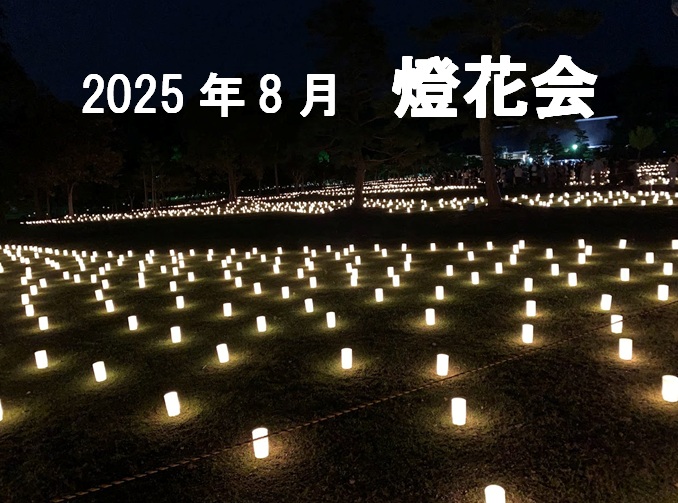 燈花会2025.8のトップページ Top Page Nara Tokae Lantern Festival August 2025