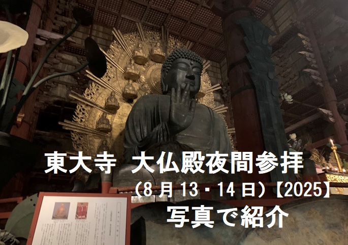 大仏殿夜間参拝8月のタイトル画像 August title image of Great Buddha Hall night visit