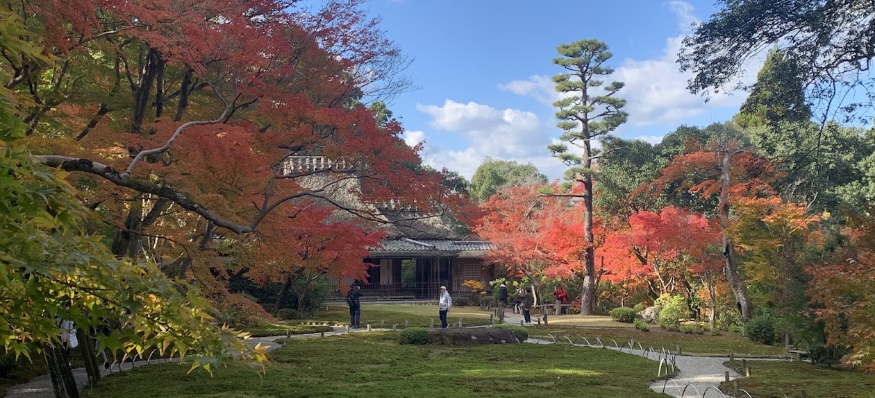 吉城園のオレンジ色の紅葉の写真
