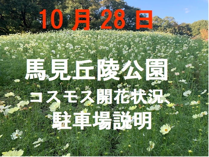 馬見丘陵公園のコスモスとダリアのタイトル画像