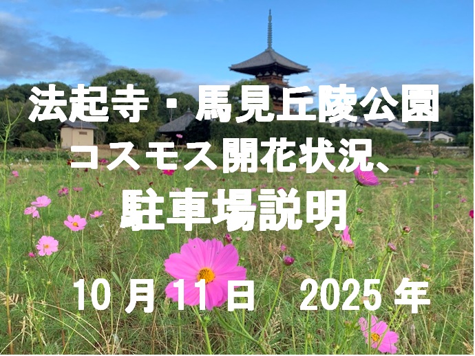 法起寺と馬見のコスモス開花のタイトル画像Title image of cosmos blooming at Hōki-ji Temple and Umami Hills