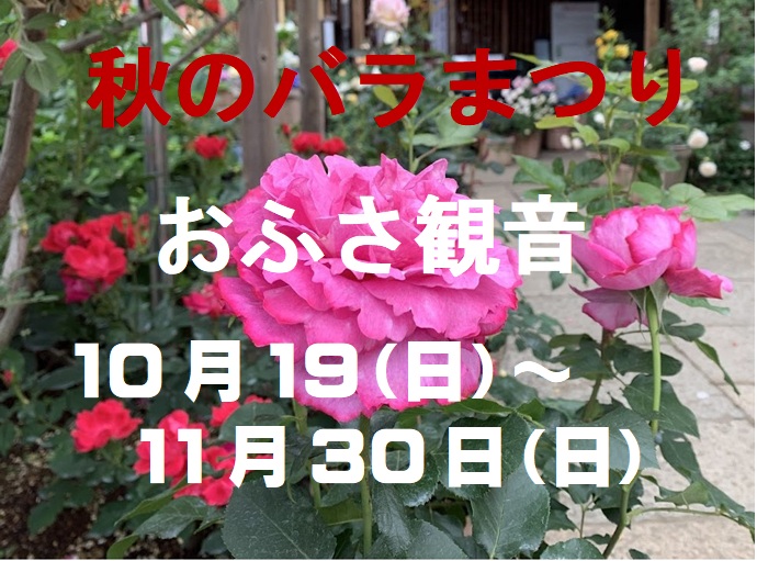 おふさ観音秋のバラ祭のタイトル画像