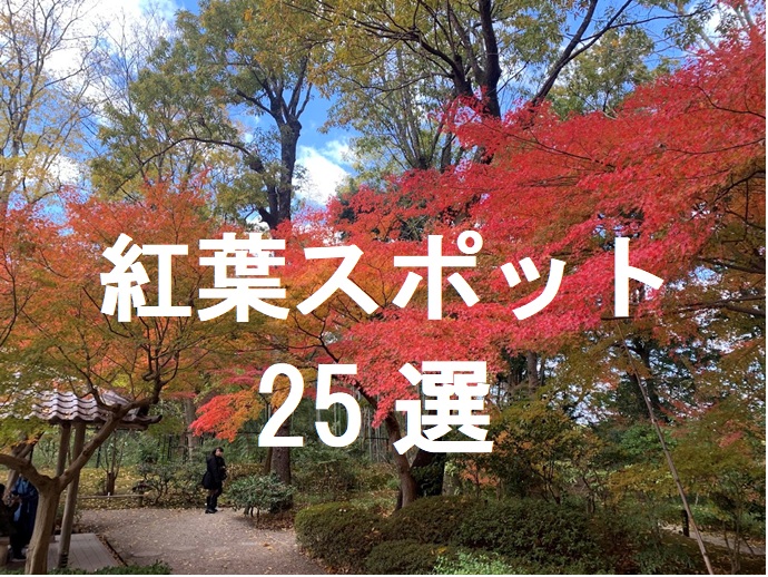 紅葉スポット25選のタイトルにした画像
